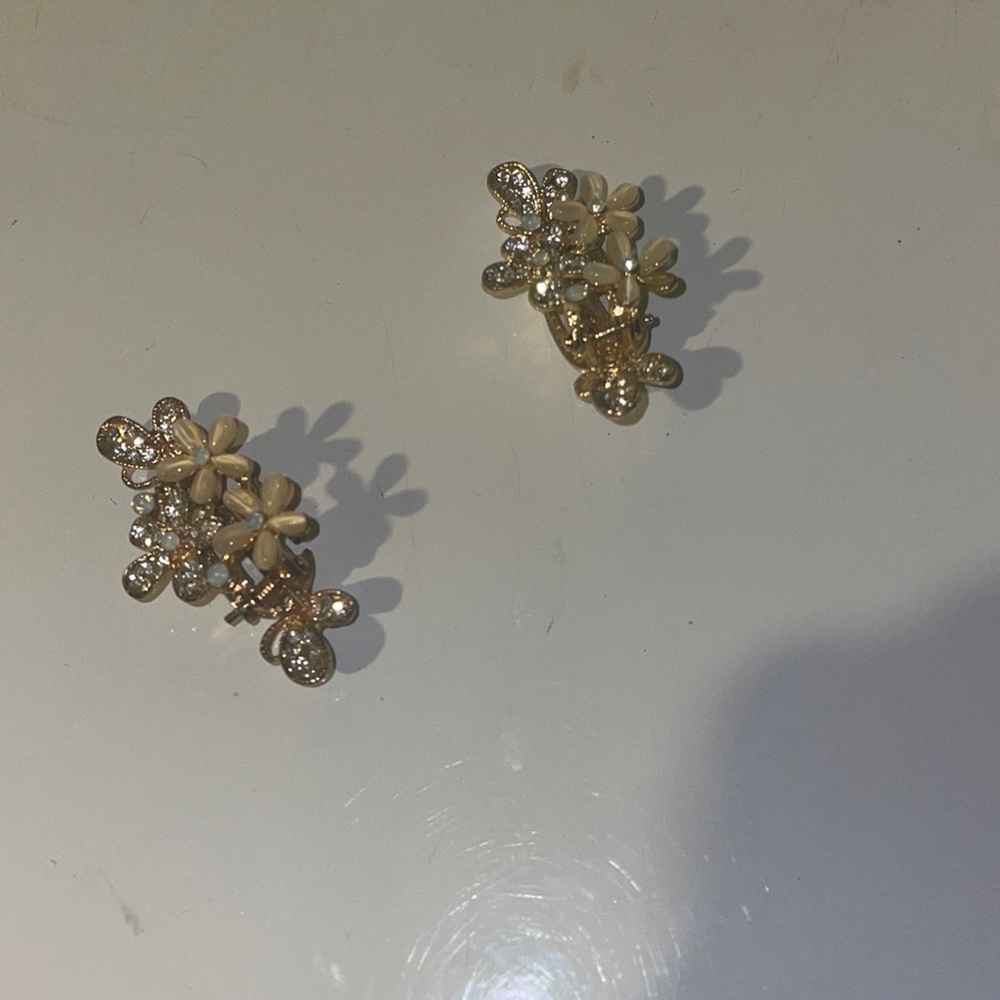 2 matching hair clips